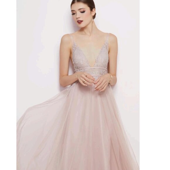 Watters Bridesmaids Aria Lace V-Neck Tulle Gown 6603-Brielle in Blush New Sz 4 - Picture 3 of 12